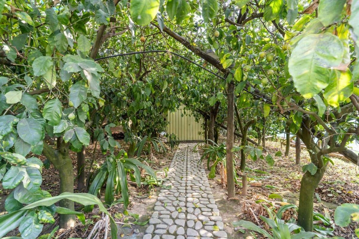 Villa Mimosa Rustic Elegance Views & Pool Massa Lubrense Εξωτερικό φωτογραφία